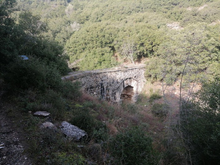 Köprü