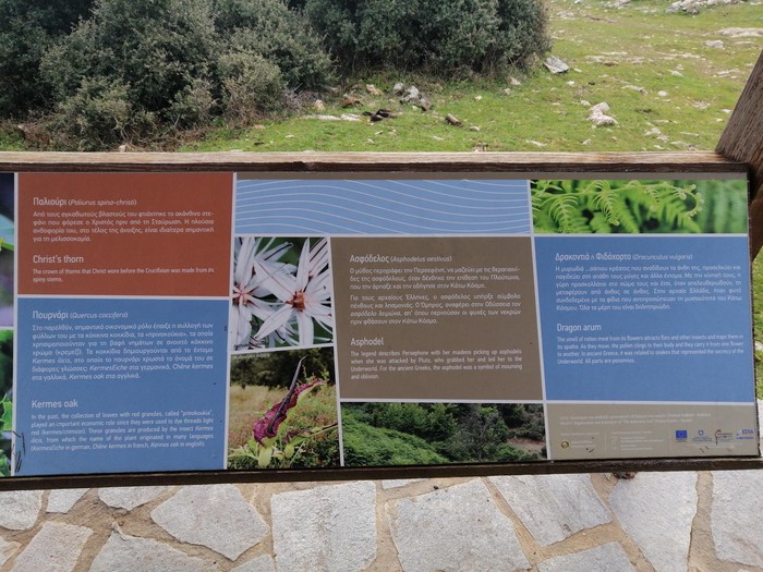 Bilgi noktası