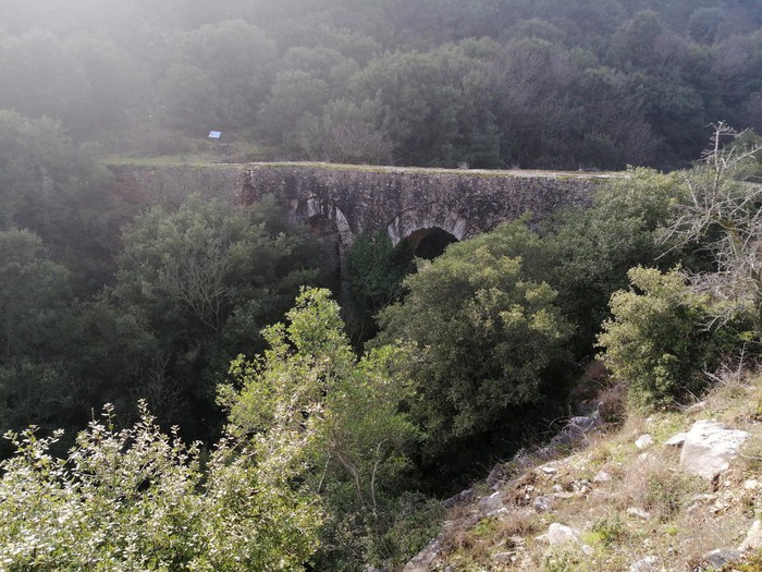 Köprü