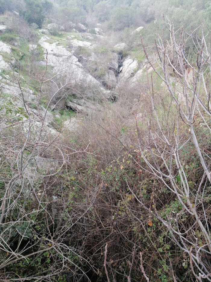 Köprü