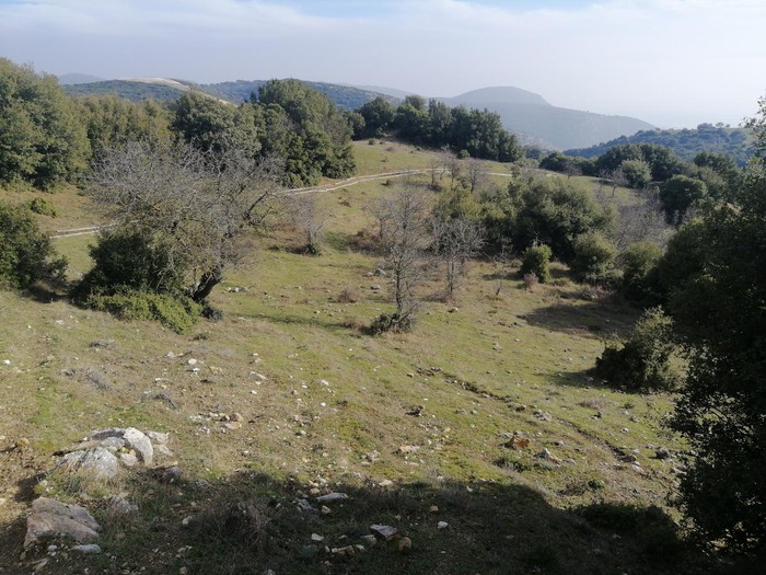 Panorama
